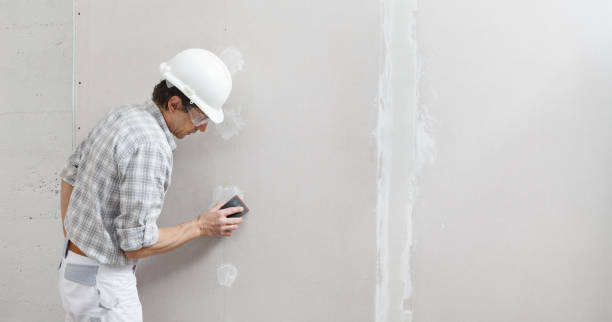 Best Fire-Damaged Drywall Repair  in Leesville, LA