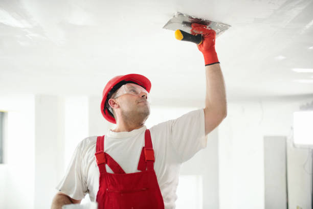  Leesville, LA Drywall and Painting Service Pros